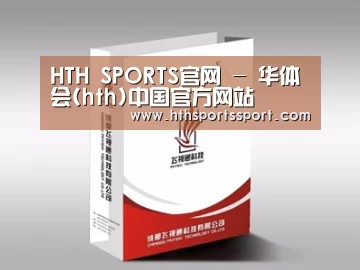 项目名称十三
