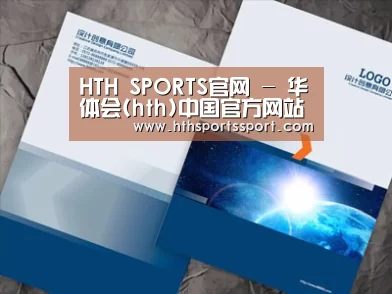 项目名称十