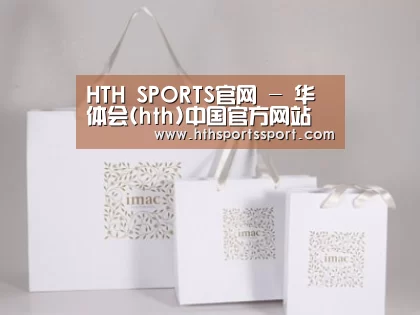 项目名称十一